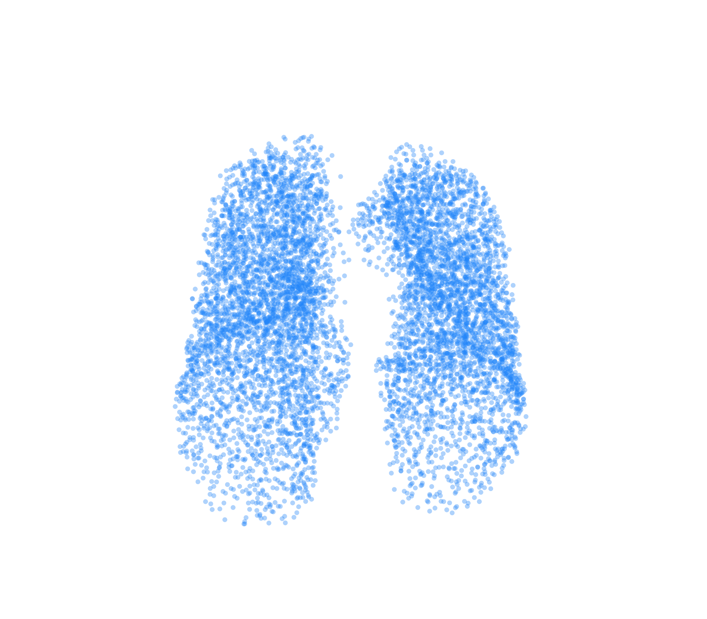 Point Cloud (Inspiration) - Front View