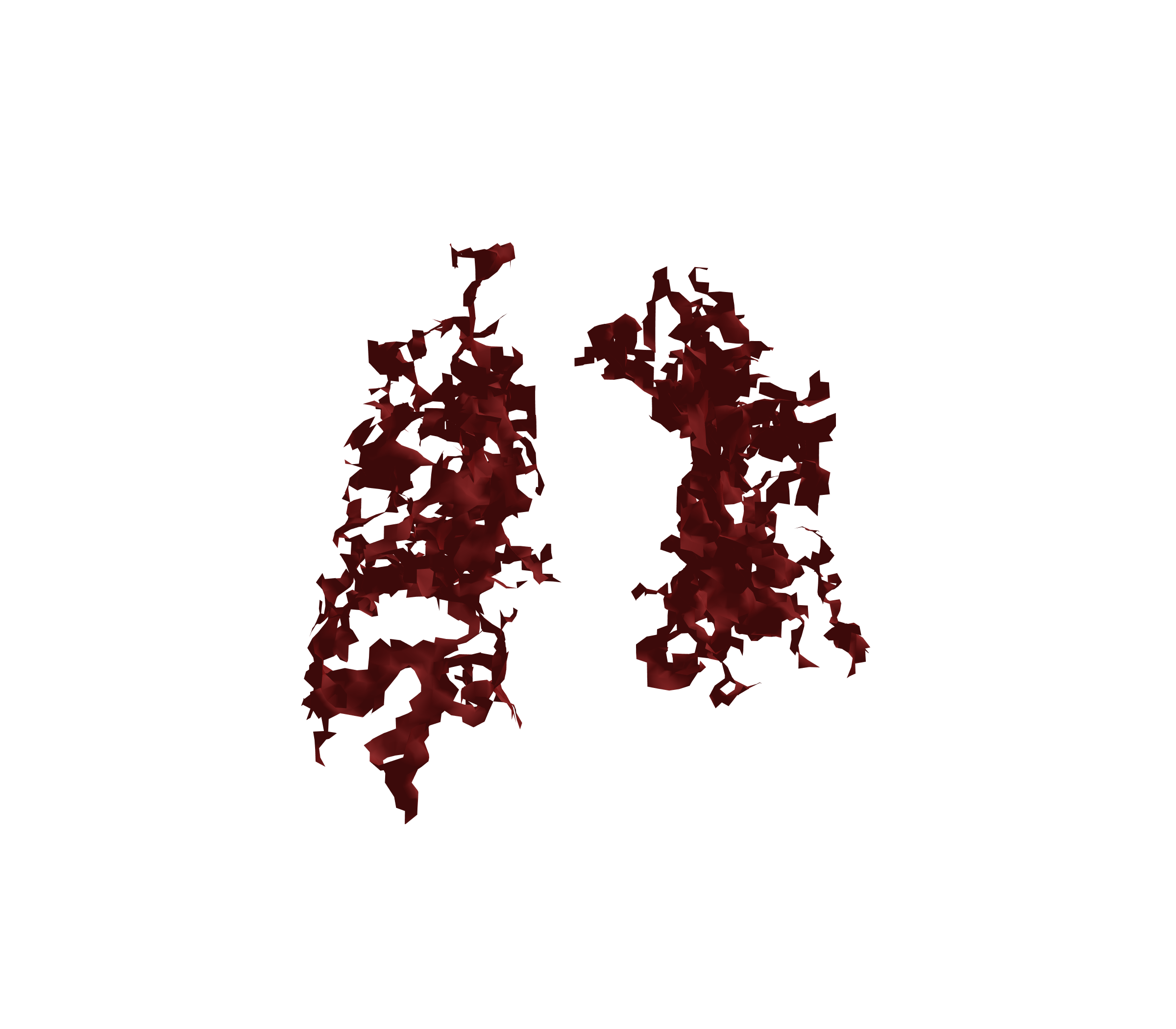 Surface Mesh (Expiration) - Front View