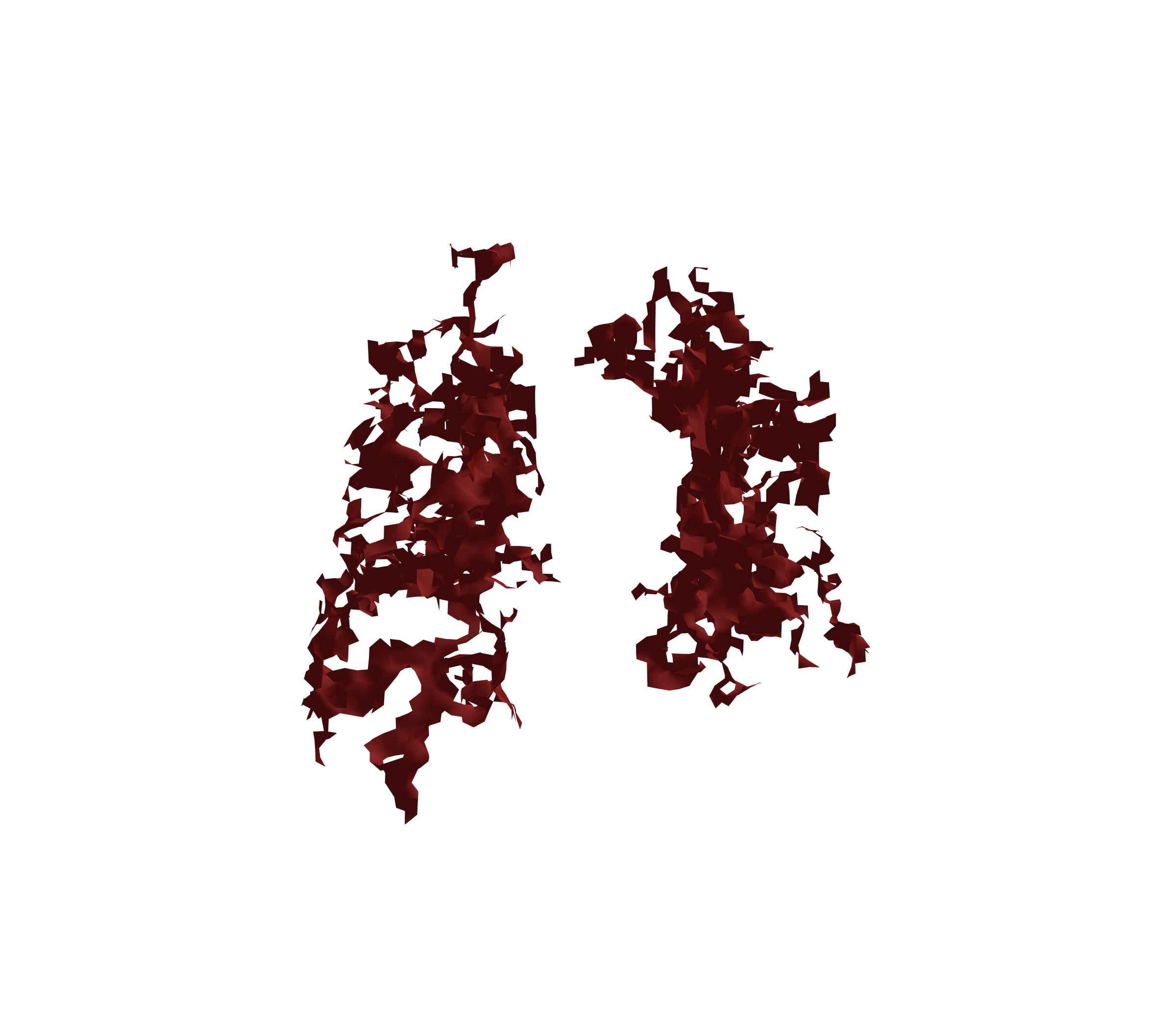 Surface Mesh (Expiration) - Front View