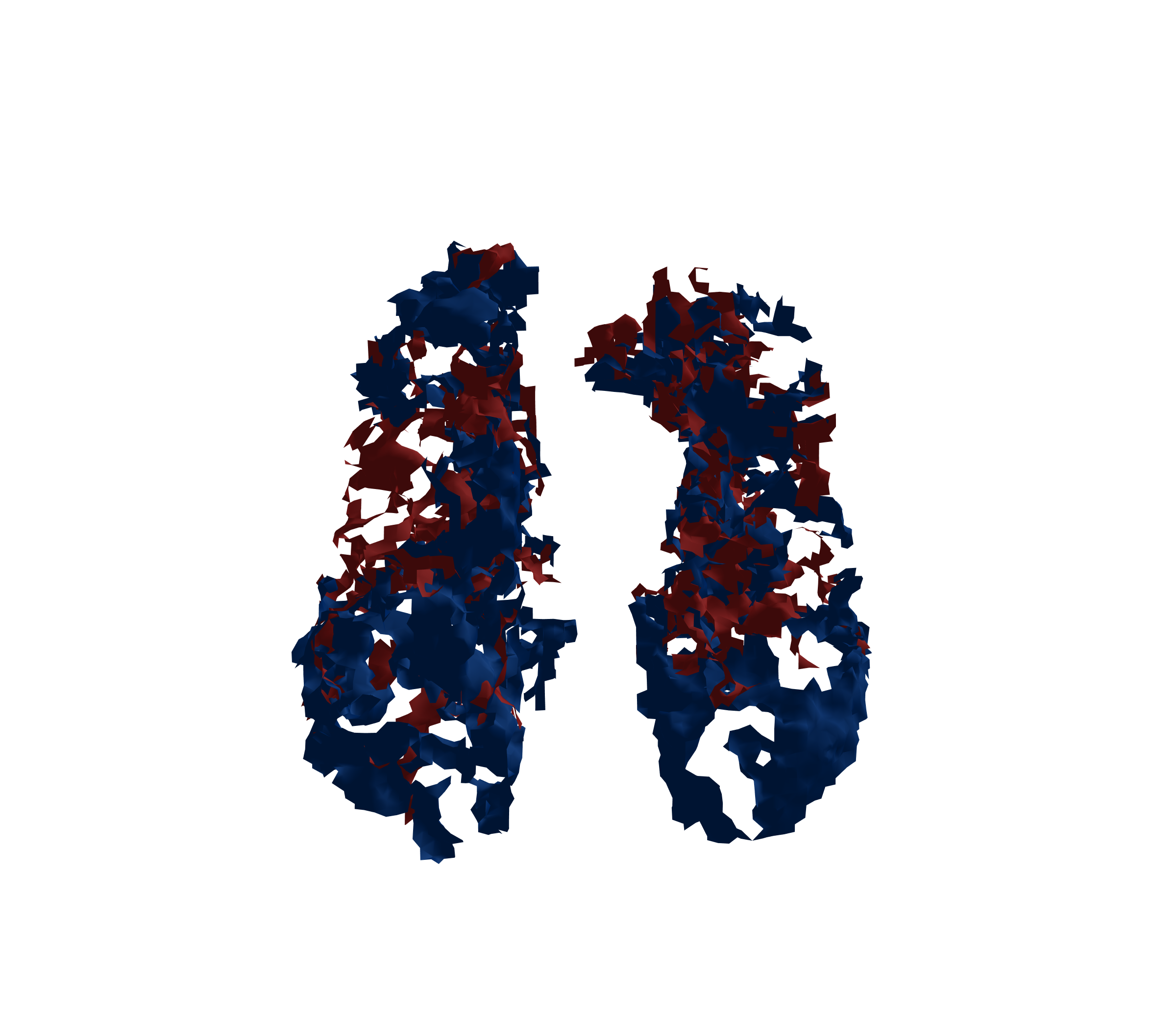 Surface Mesh - Front View