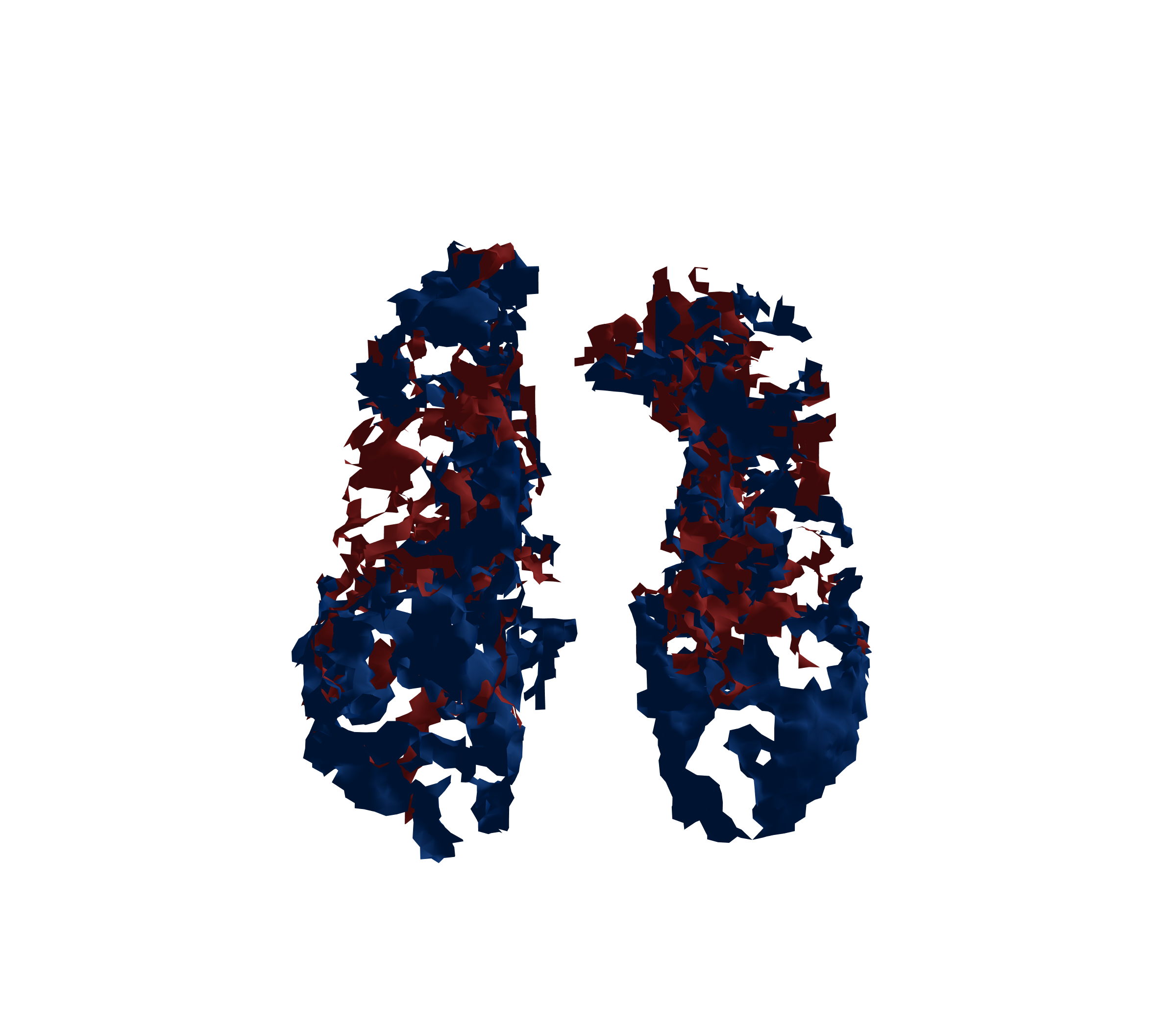 Surface Mesh - Front View