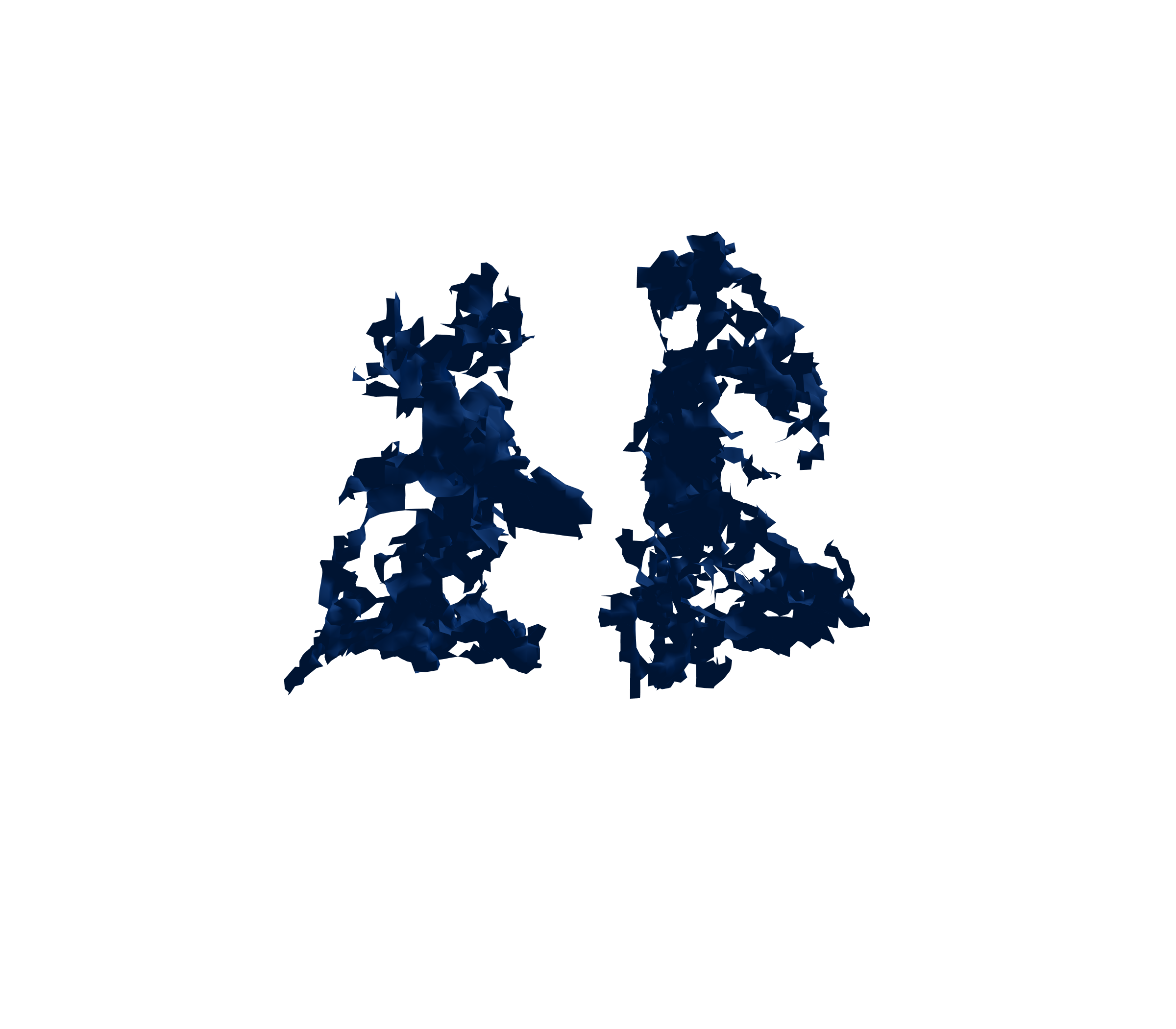 Surface Mesh (Inspiration) - Back View