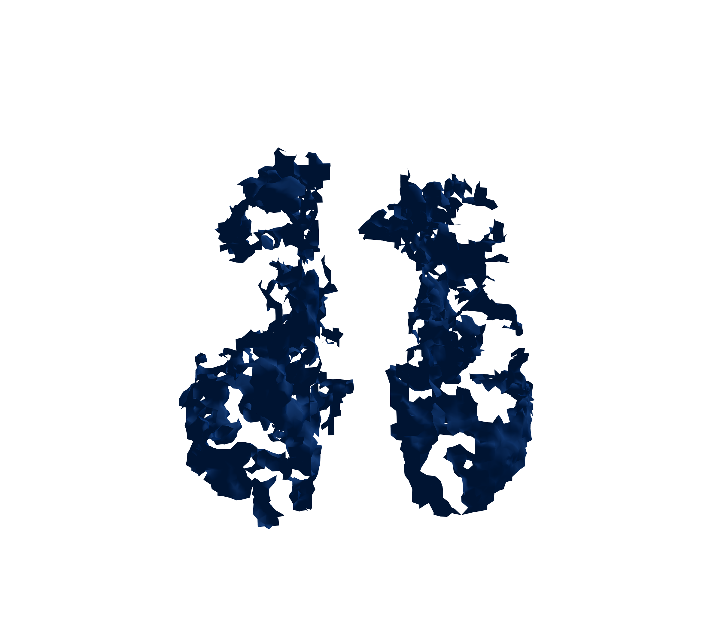 Surface Mesh (Inspiration) - Front View