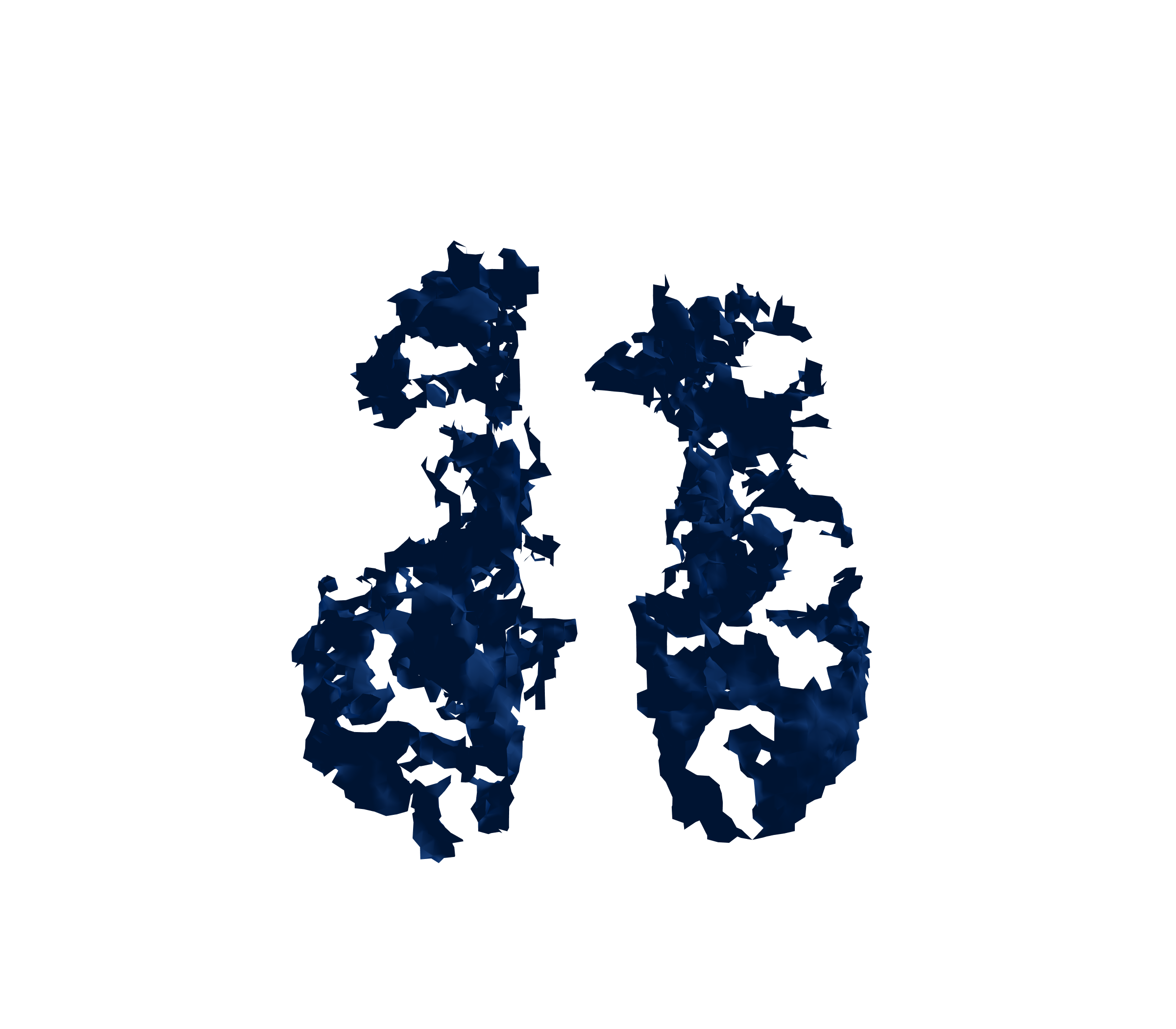 Surface Mesh (Inspiration) - Front View