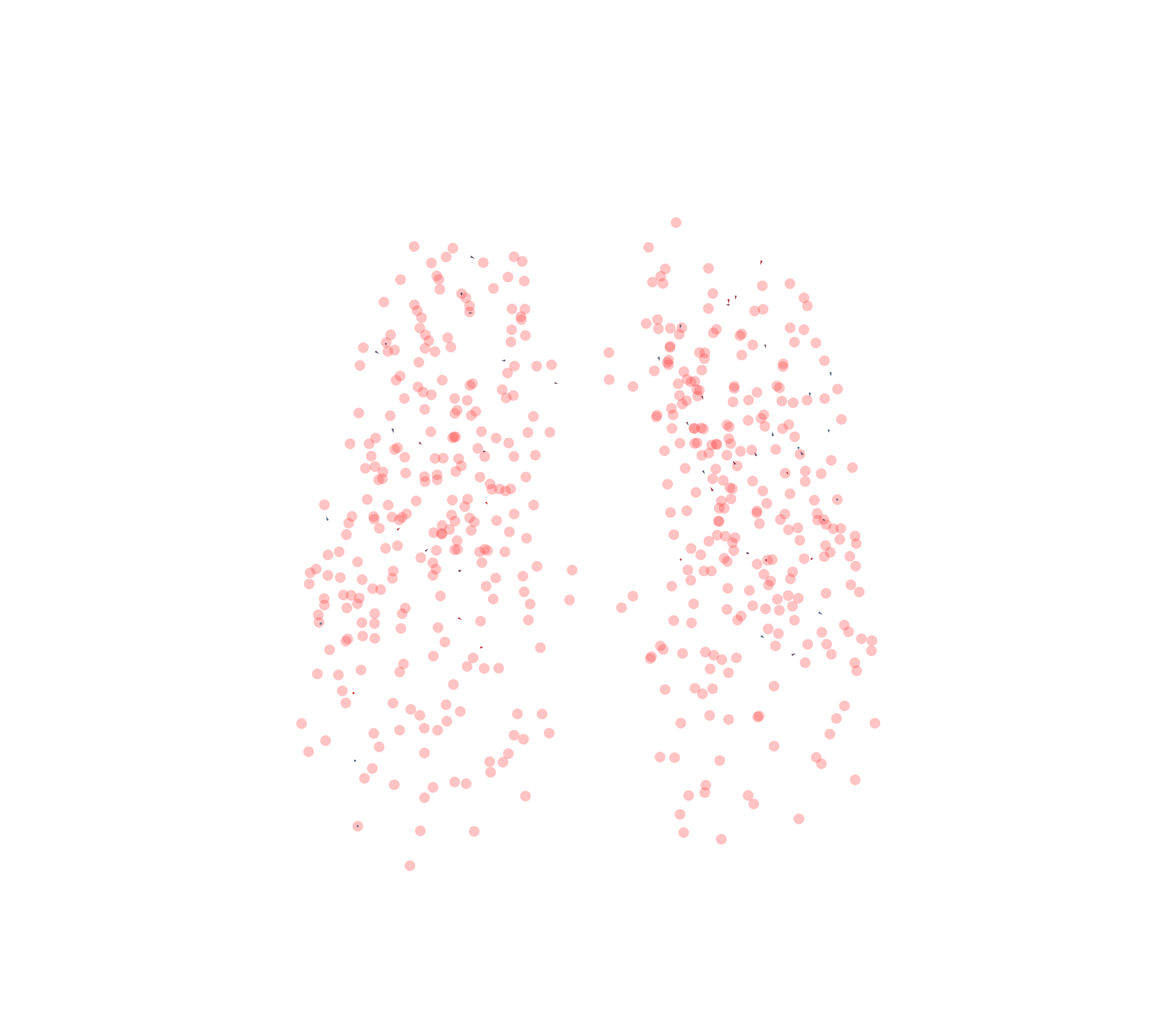Displacement Vectors - Front View