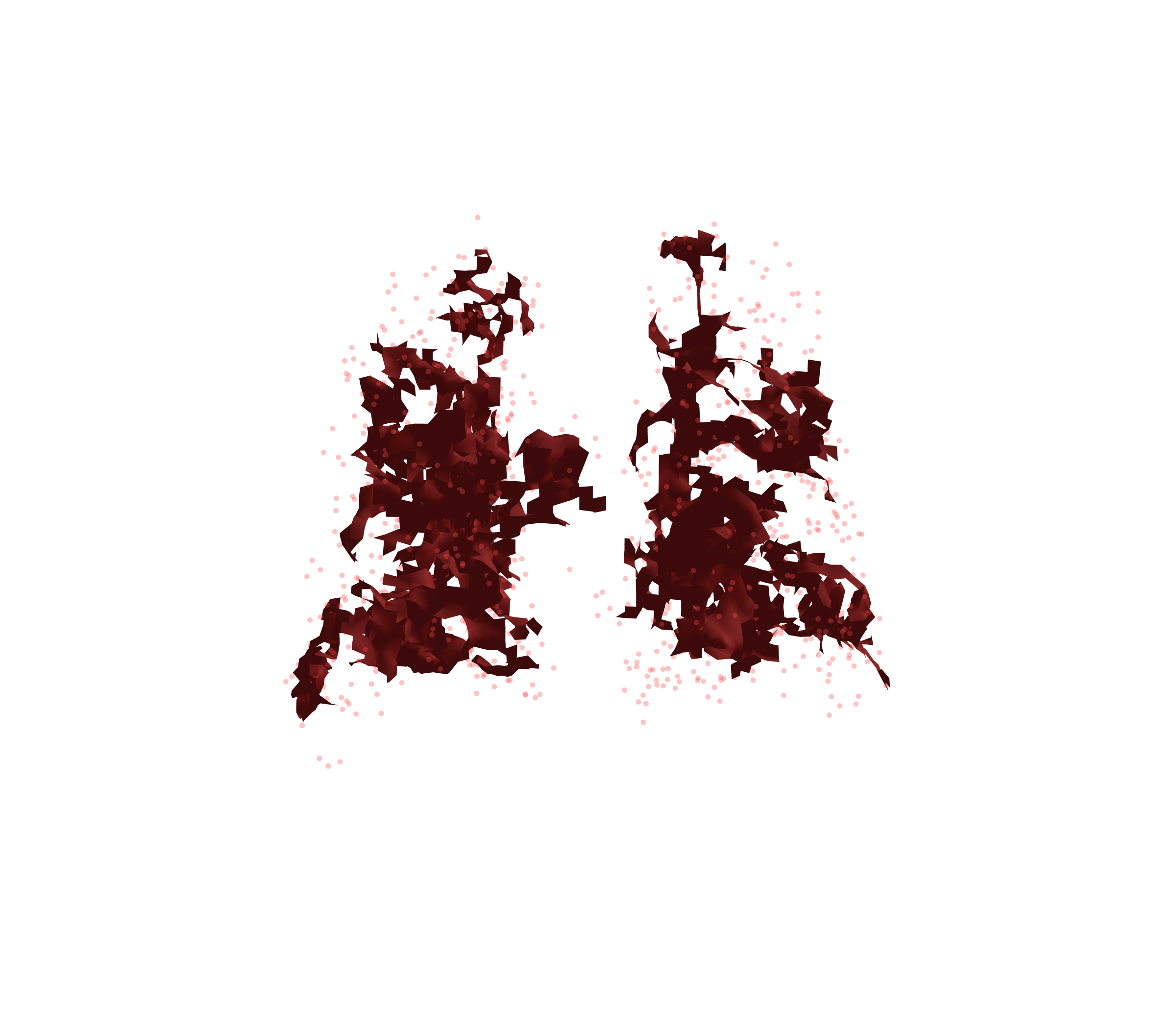 Combined Visualization (Expiration) - Back View