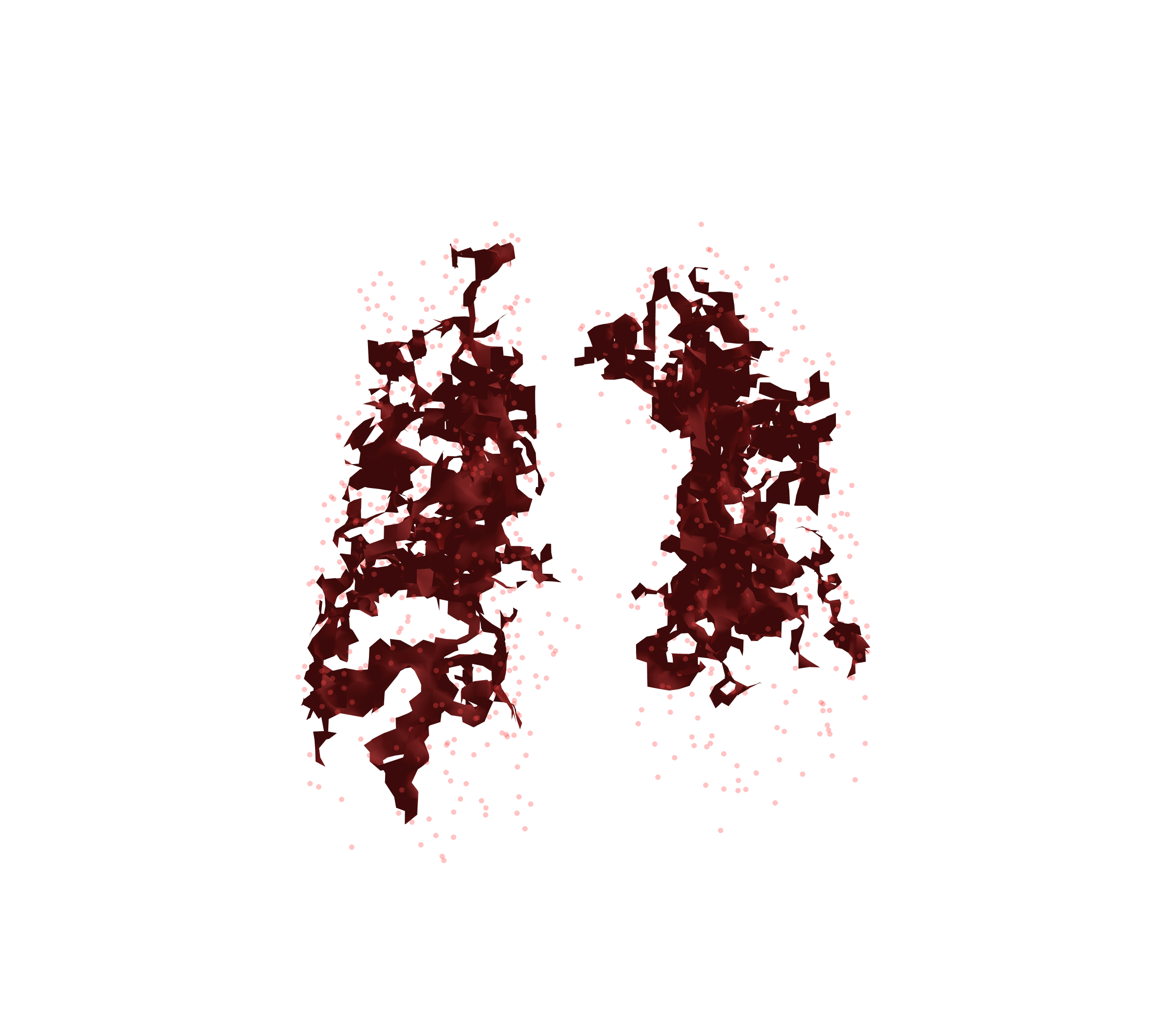 Combined Visualization (Expiration) - Front View