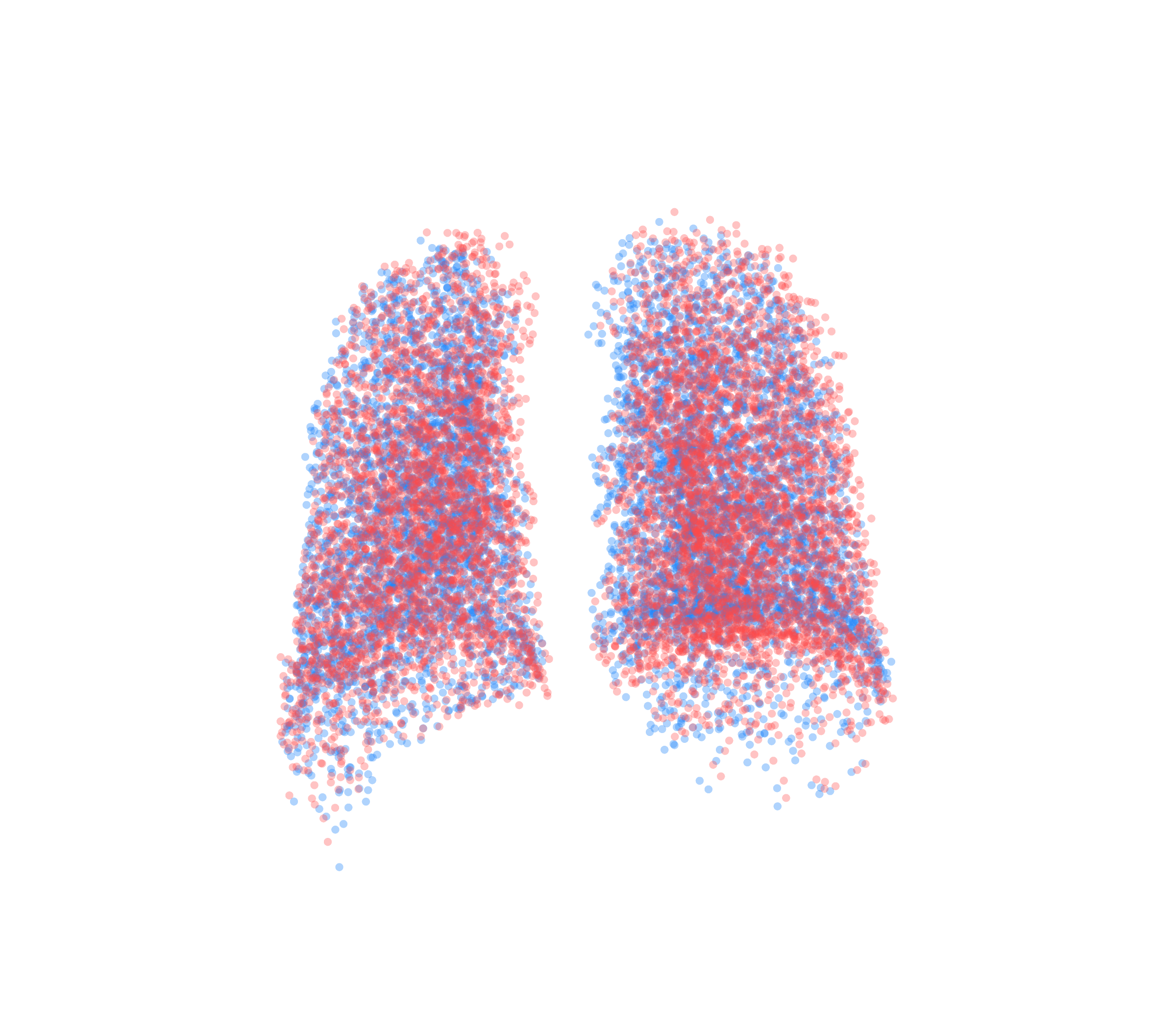 Point Cloud - Back View