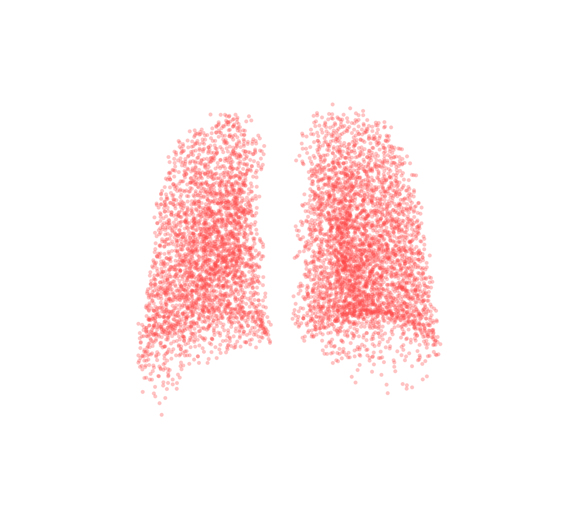 Point Cloud (Expiration) - Back View