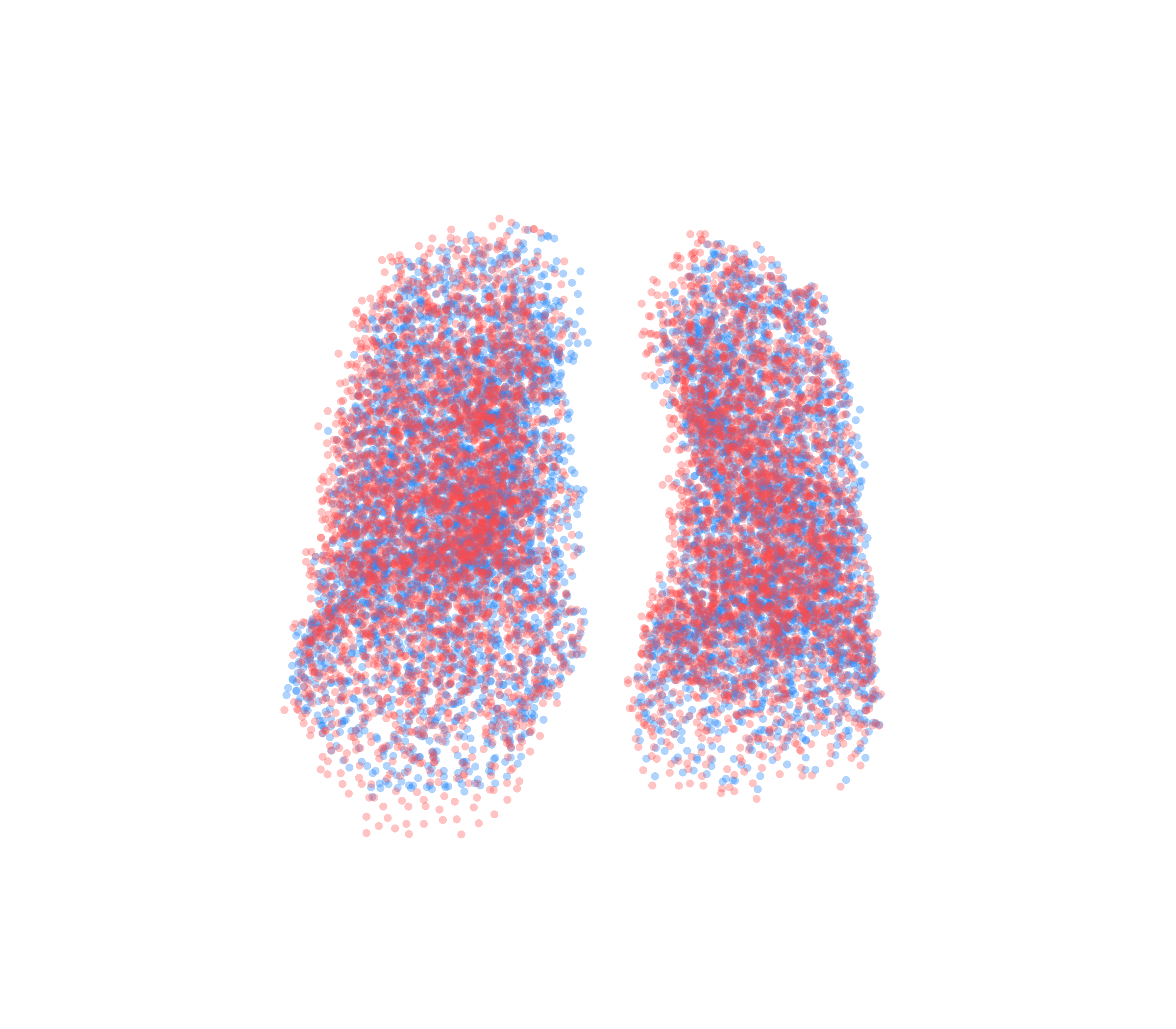 Point Cloud - Front View