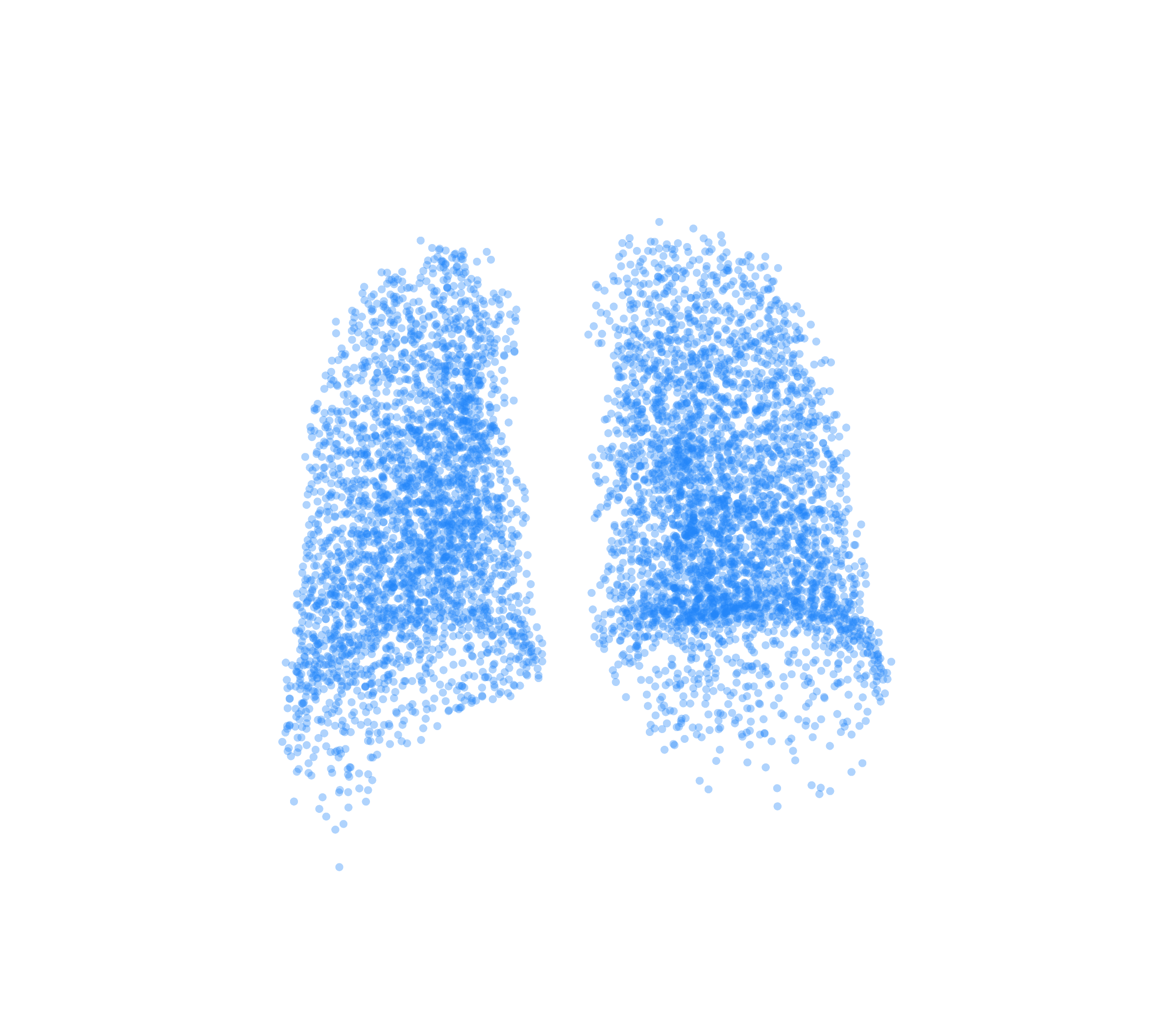 Point Cloud (Inspiration) - Back View