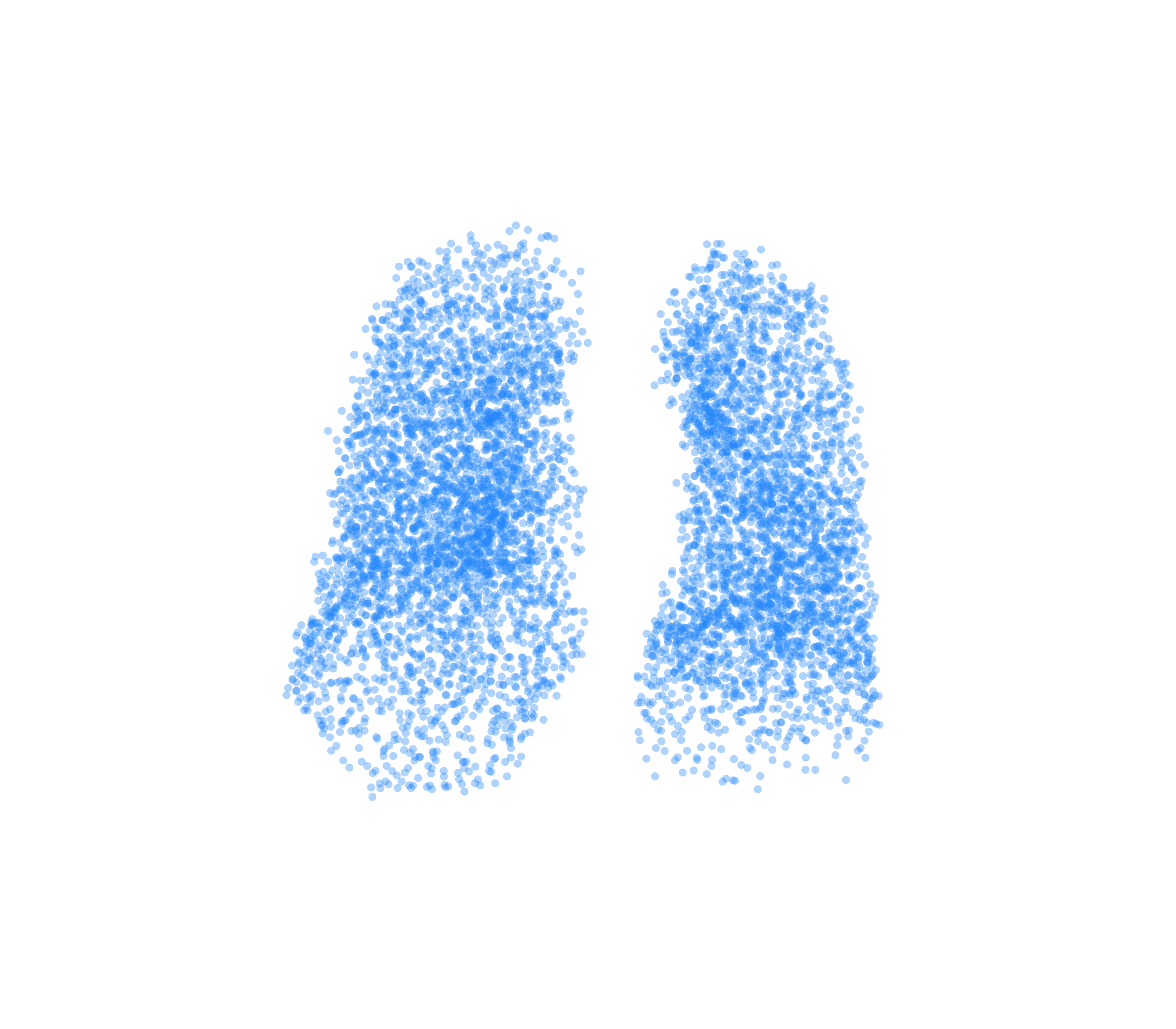 Point Cloud (Inspiration) - Front View