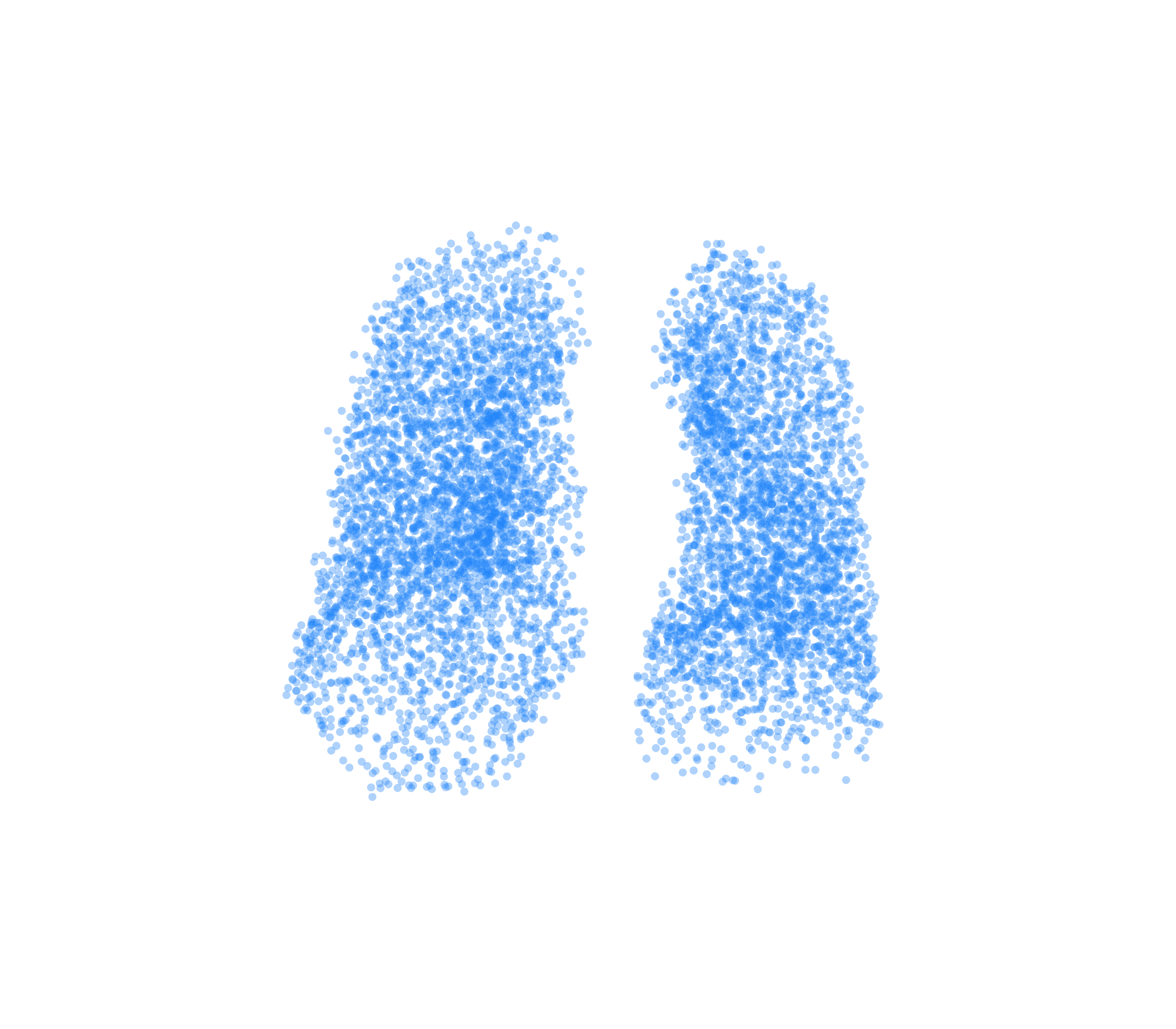 Point Cloud (Inspiration) - Front View