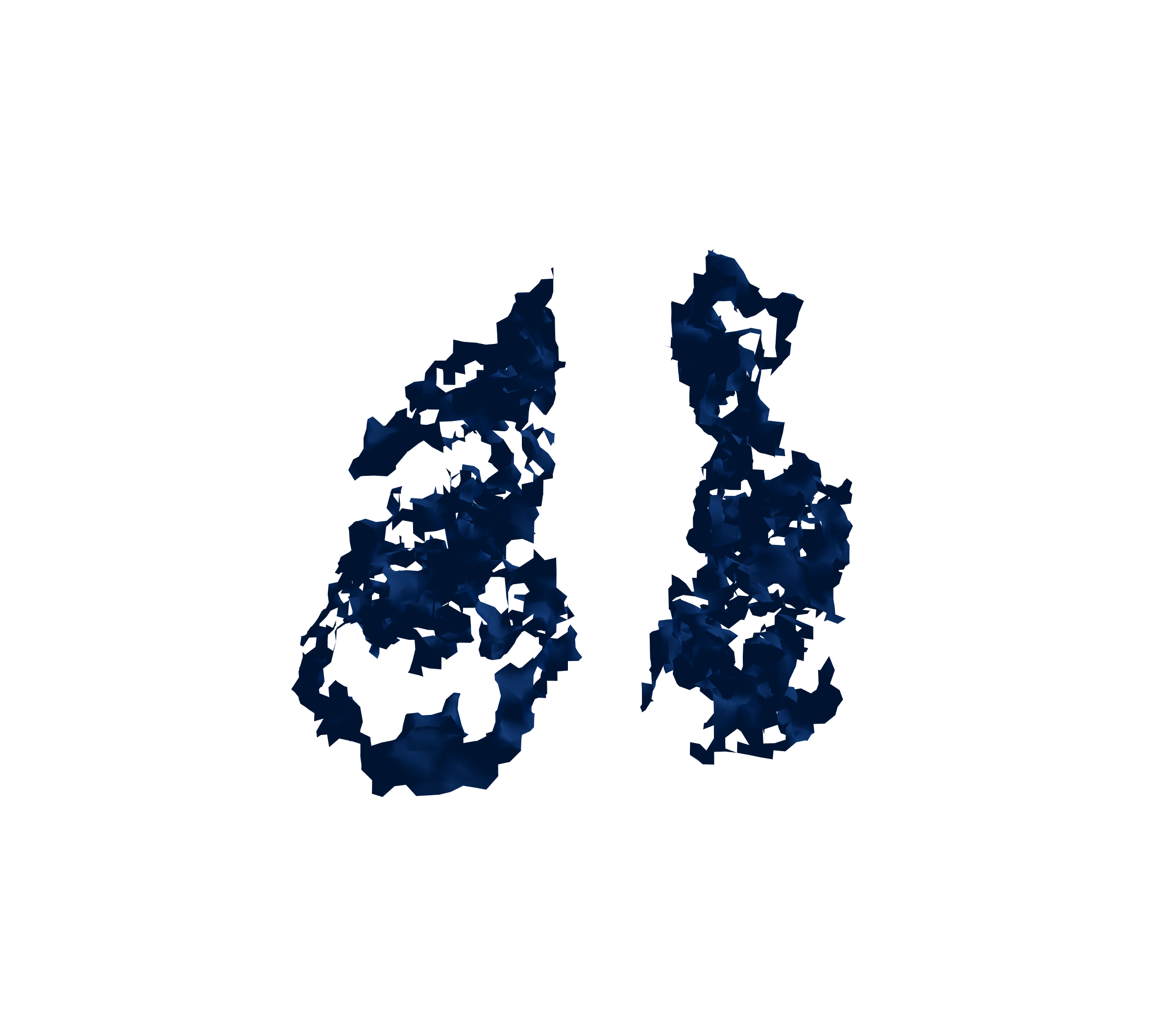 Surface Mesh (Inspiration) - Front View