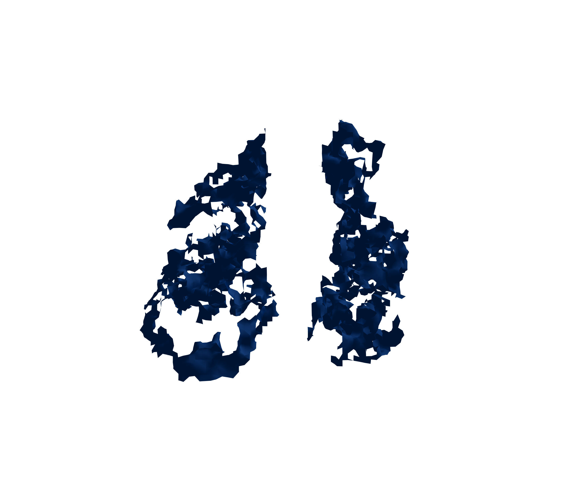 Surface Mesh (Inspiration) - Front View