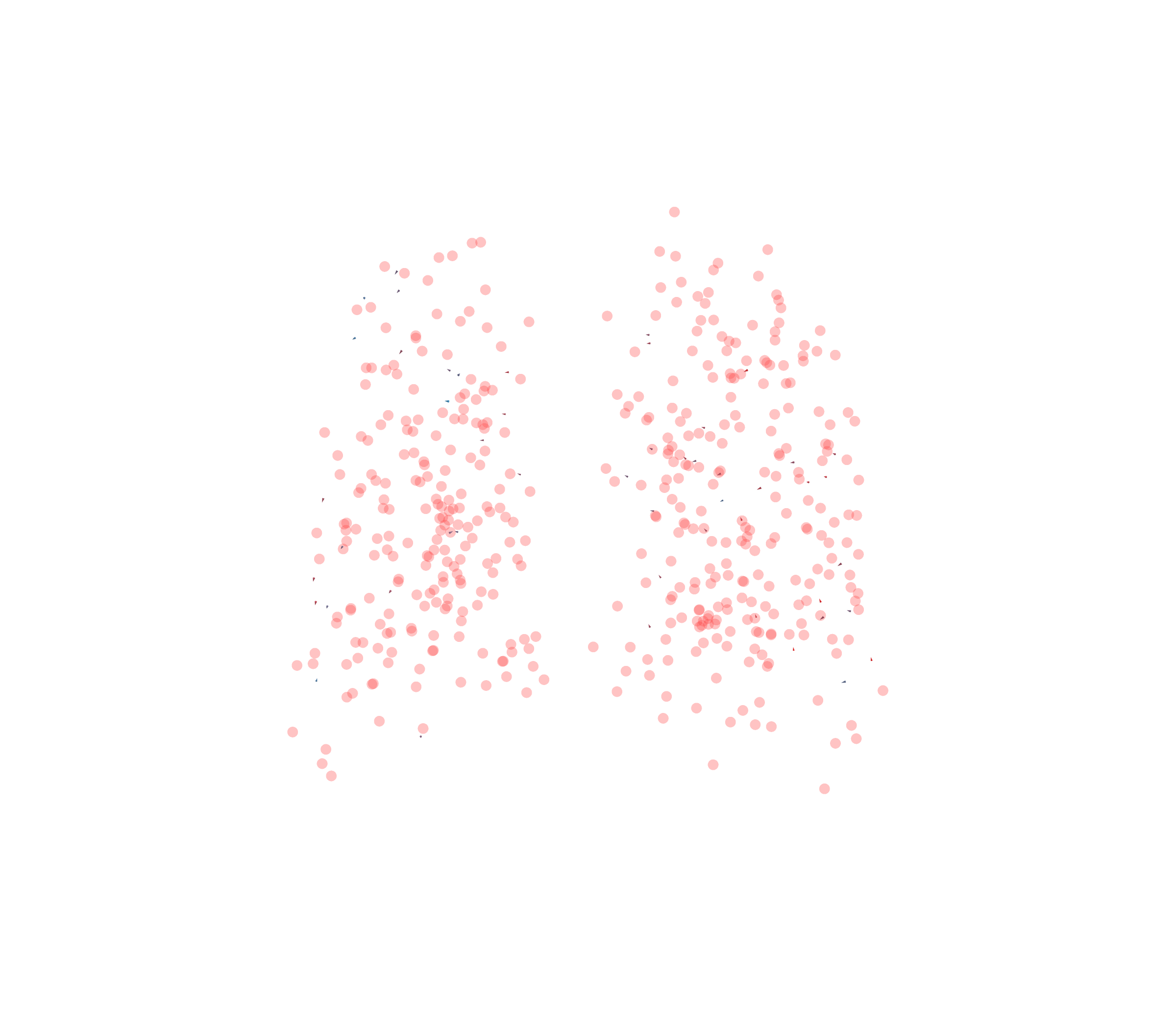Displacement Vectors - Back View