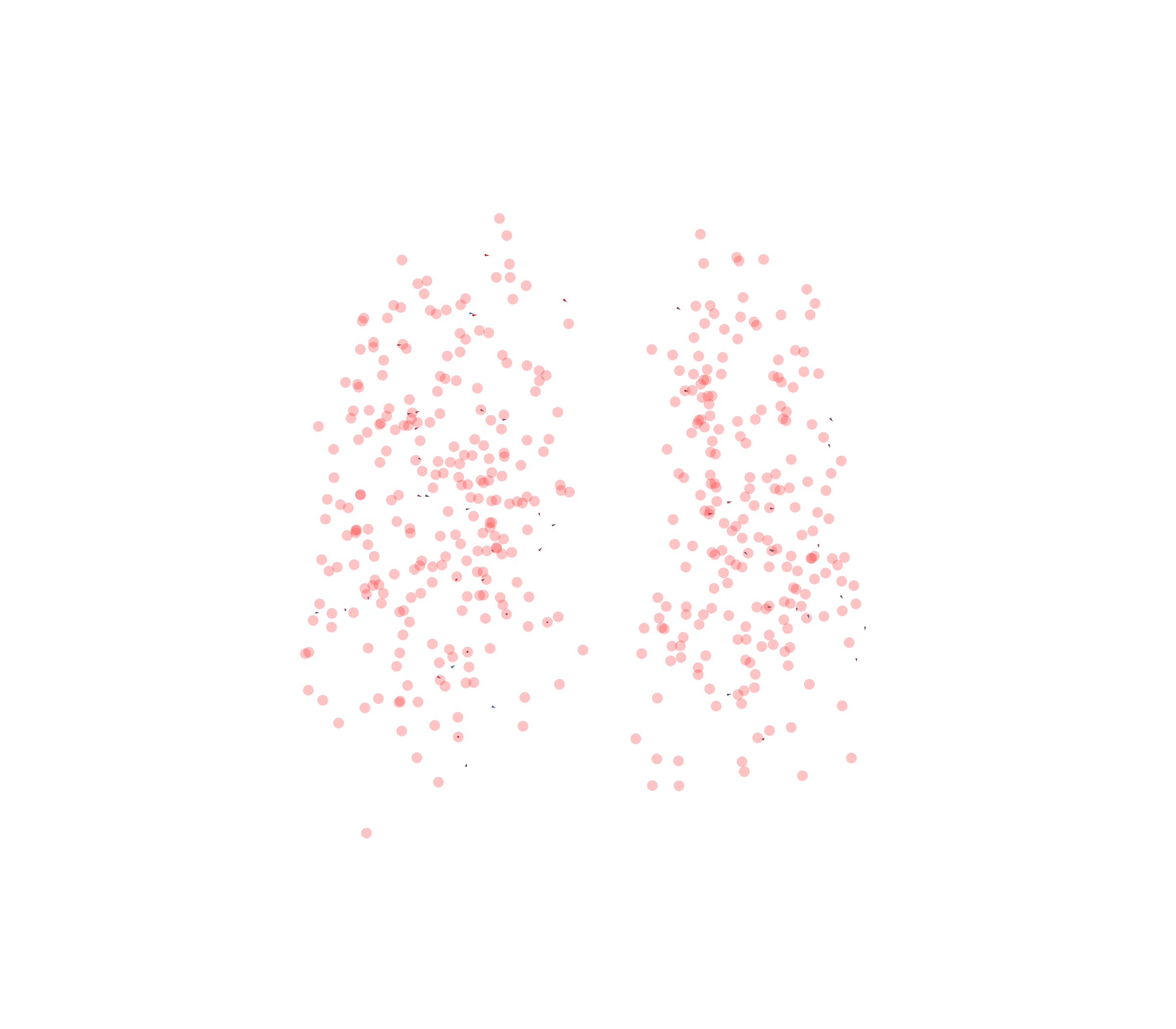 Displacement Vectors - Front View